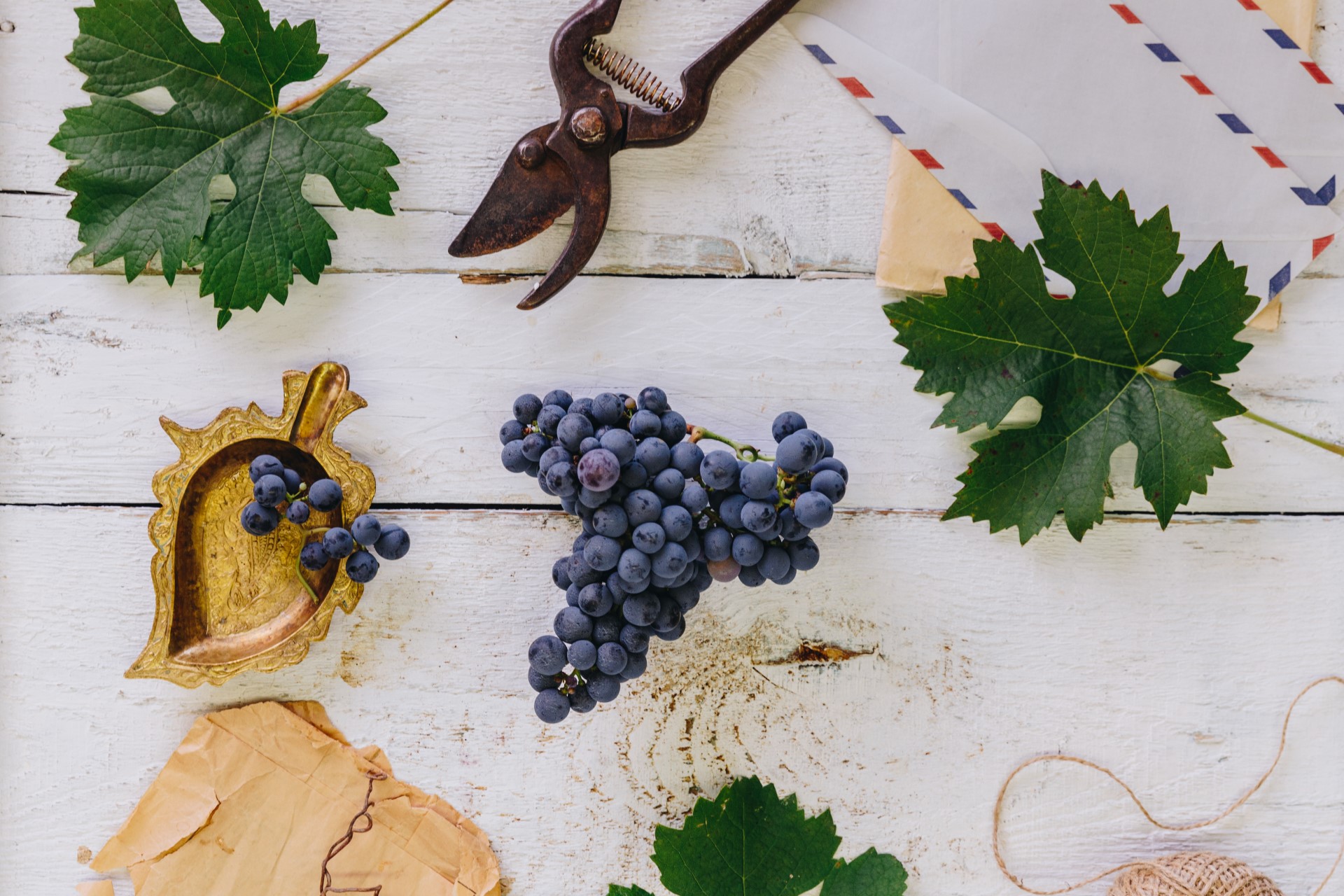 2e29b4c1d29cbeca9ac81b0e26810eaa65e8caec