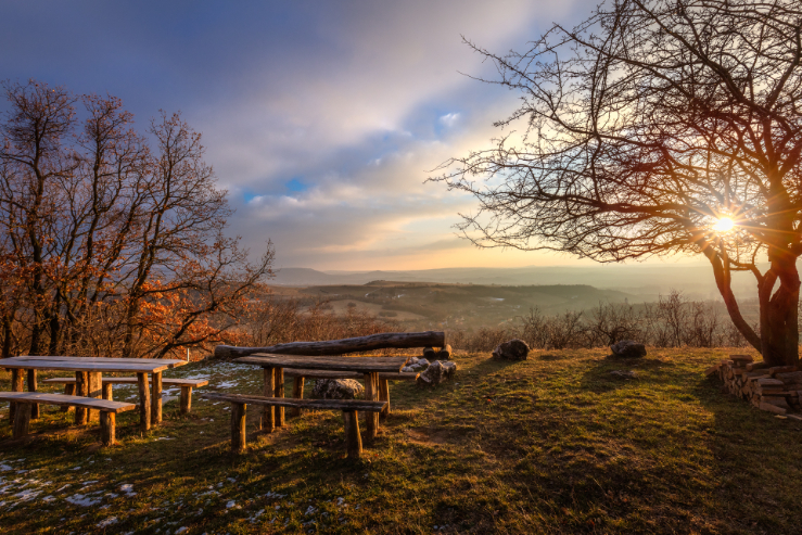 kesztolc_szivekboraszat_kilatas_mg2235_langnandor_20220126_srgb_dpi72_hd