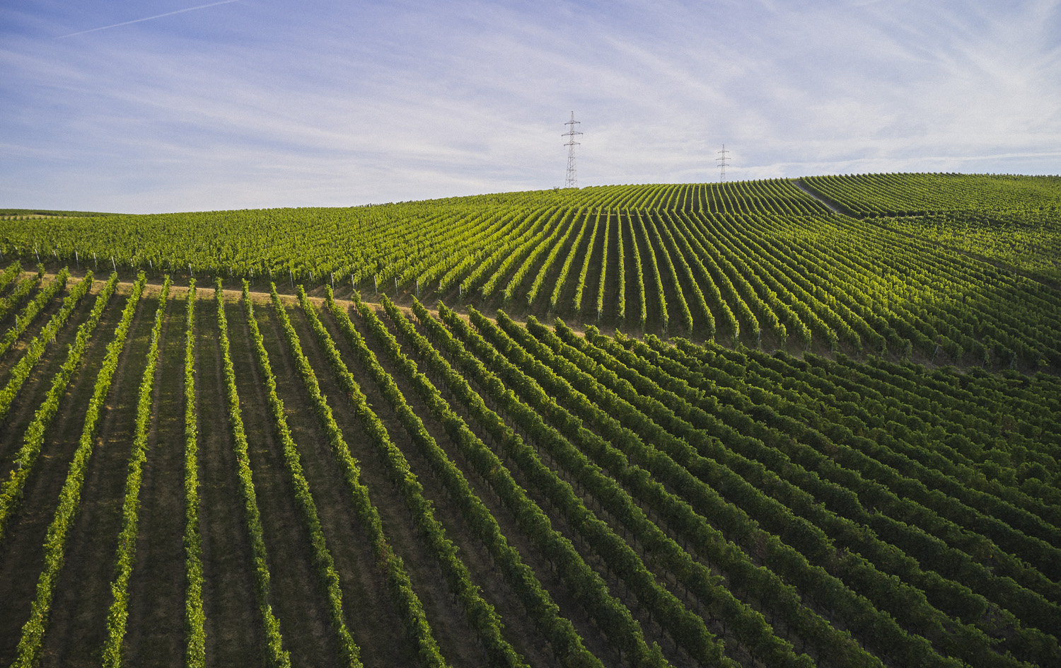 Villány borvidék hero#2