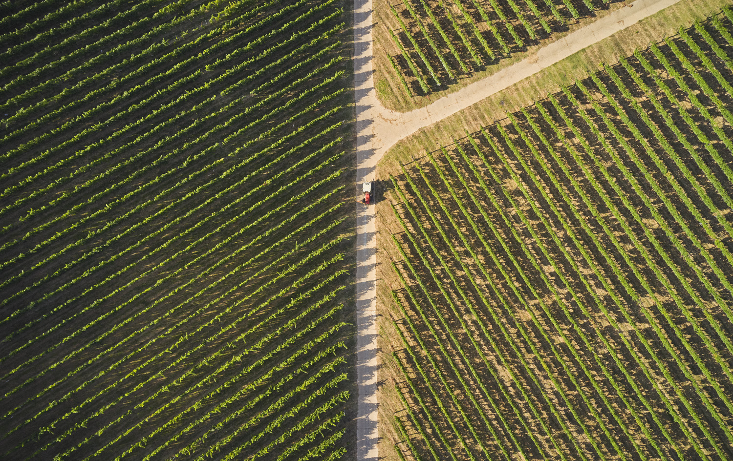 Pannon borrégió hero