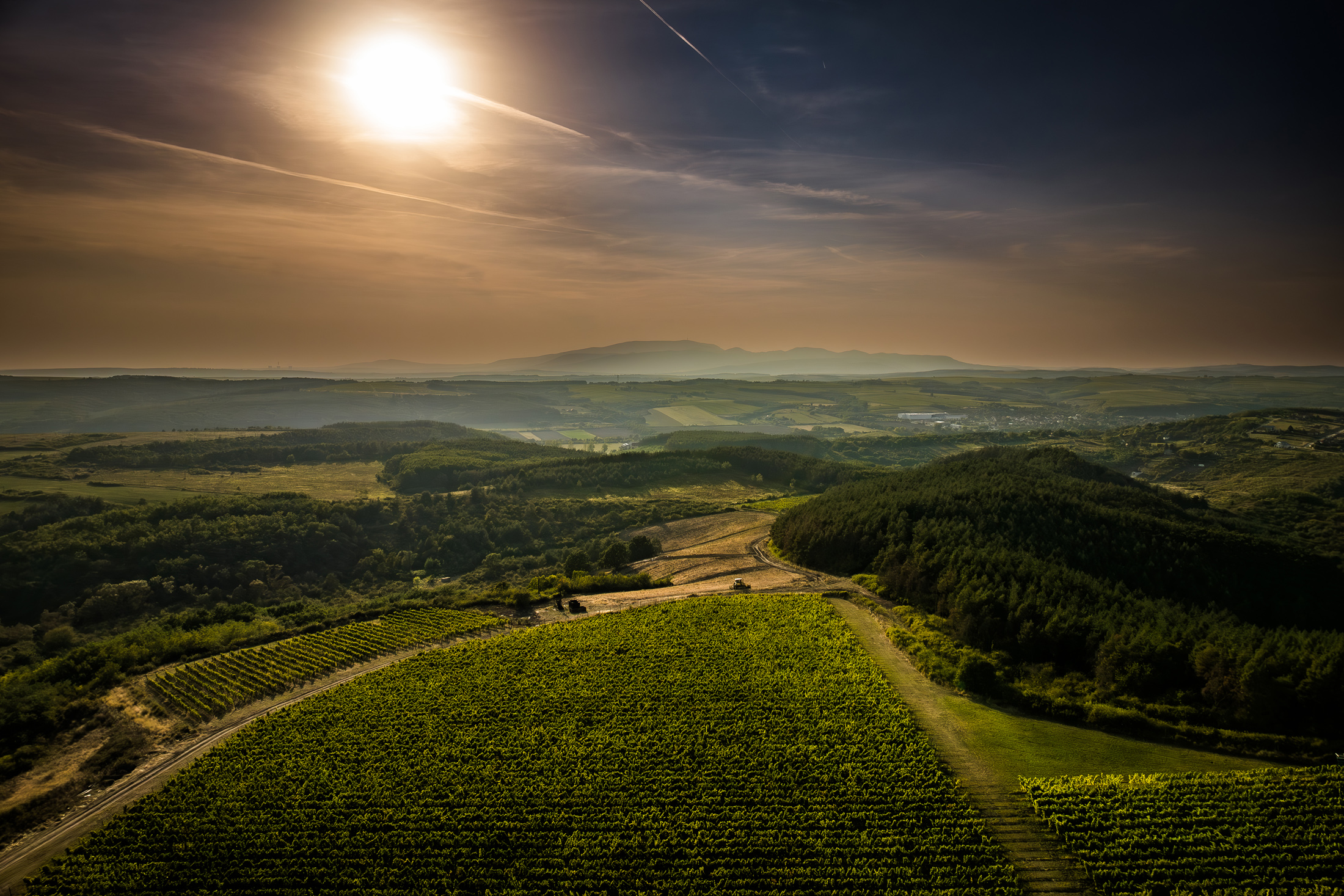 Felső-magyarországi hero