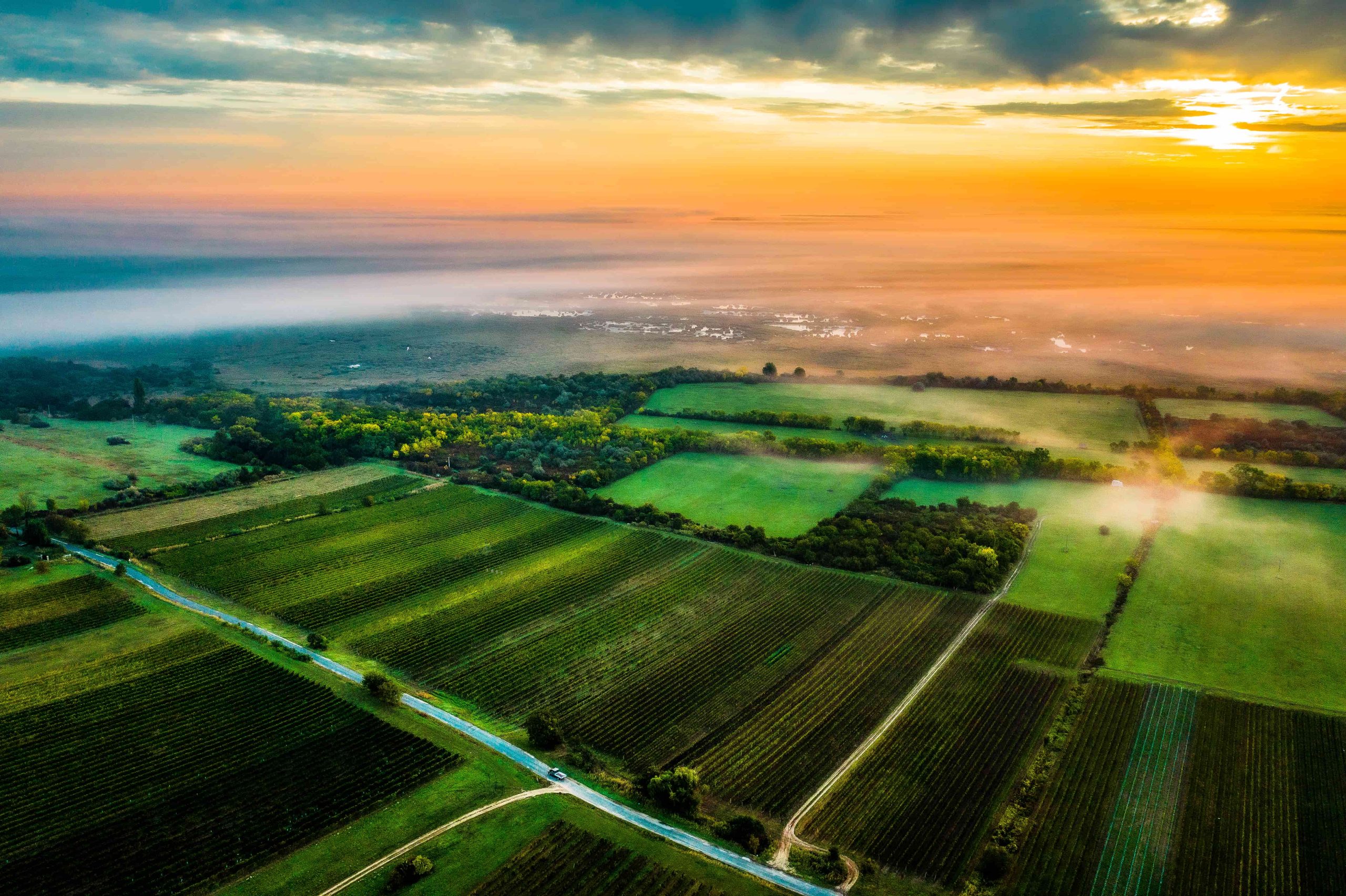 Soproni termelőhelyek és eredetvédelem hero