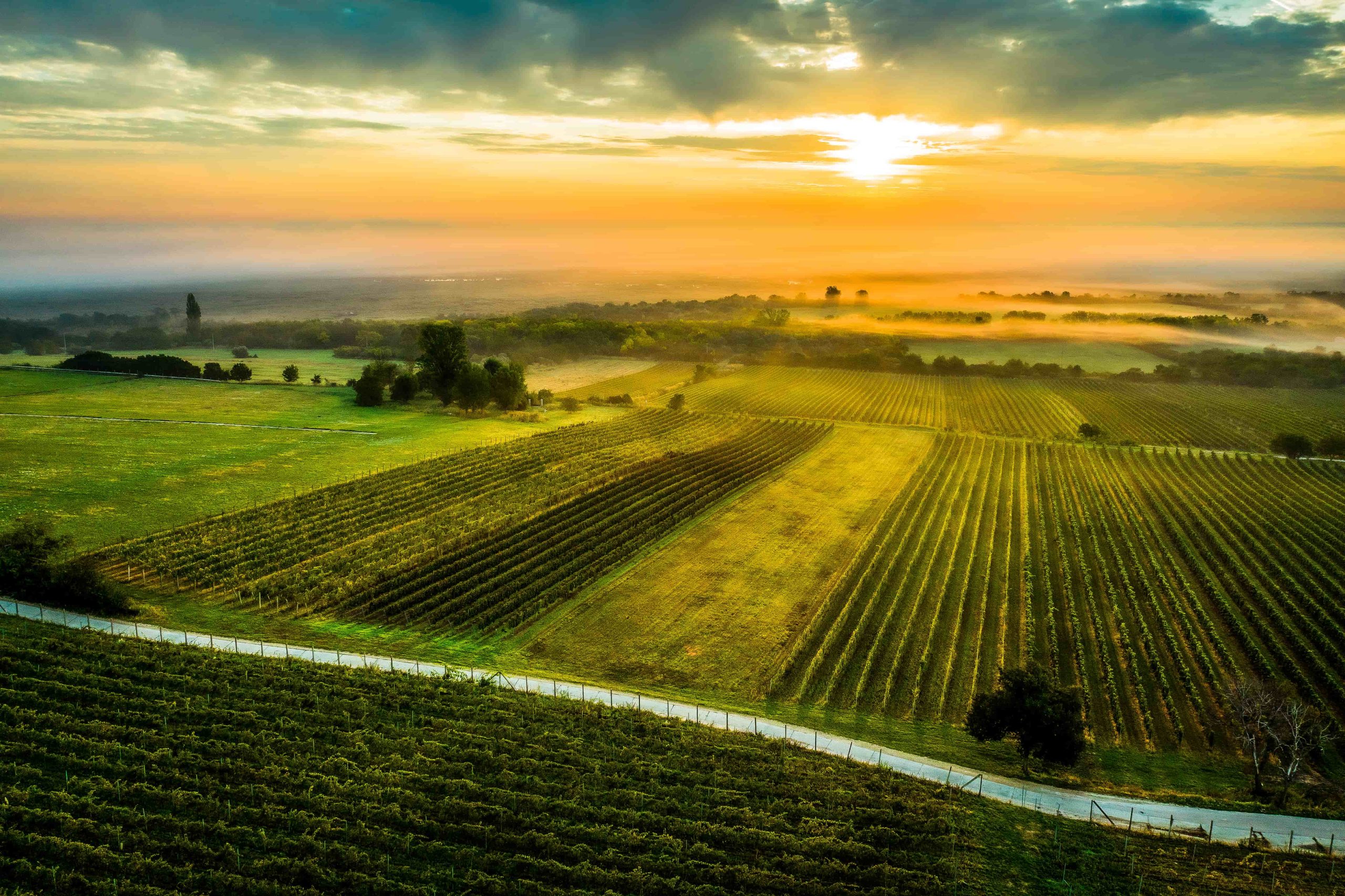 Soproni borvidékről hero
