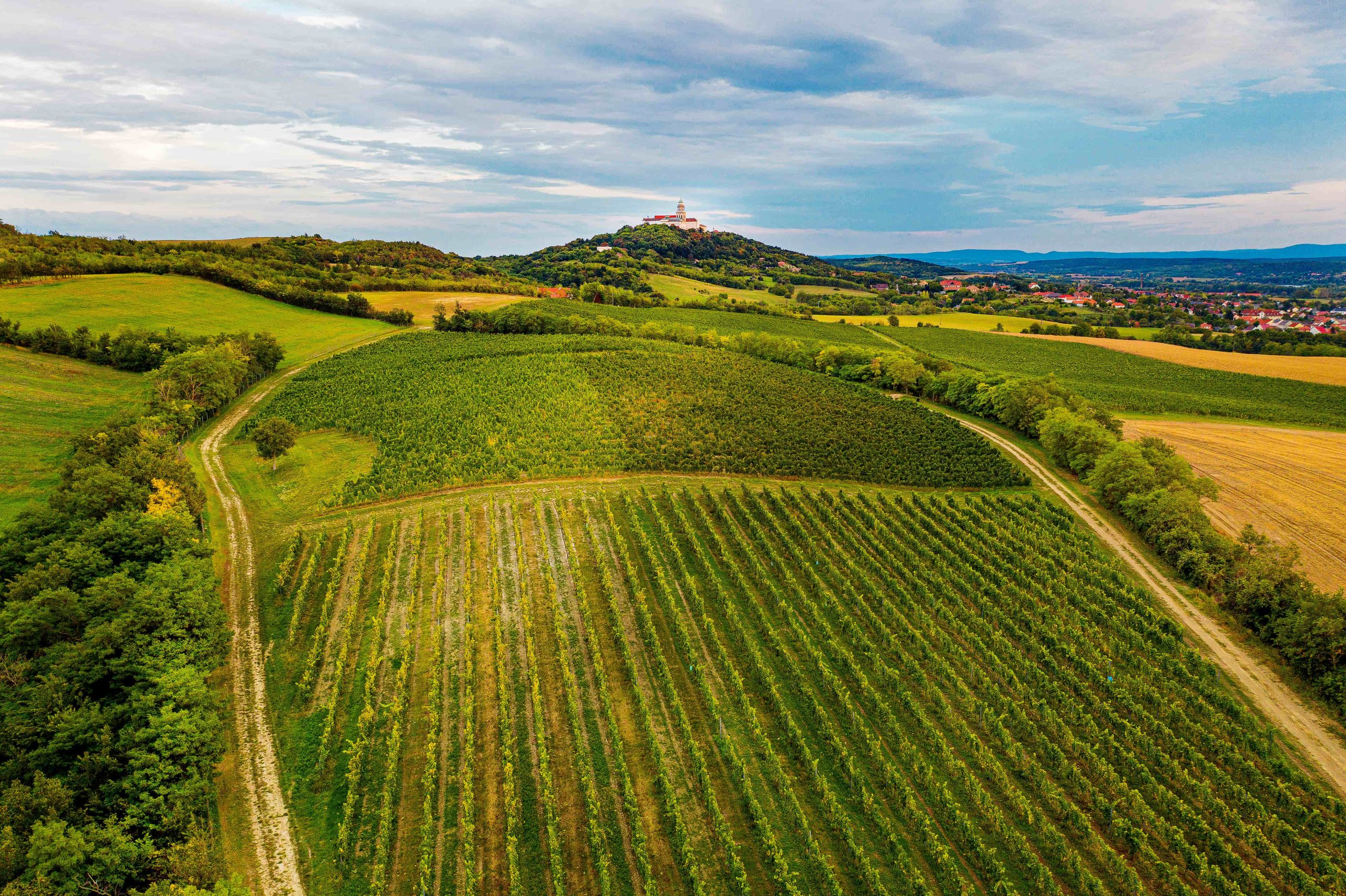 Pannonhalmi borvidékről