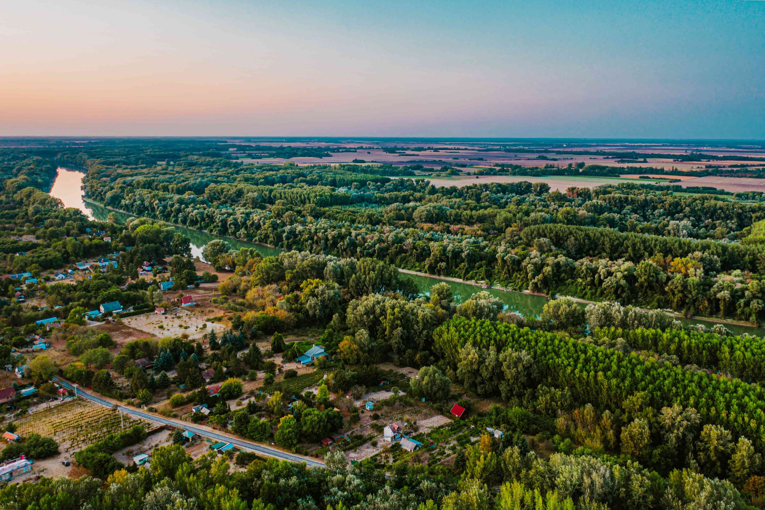 Csongrádi eredetvédelem hero