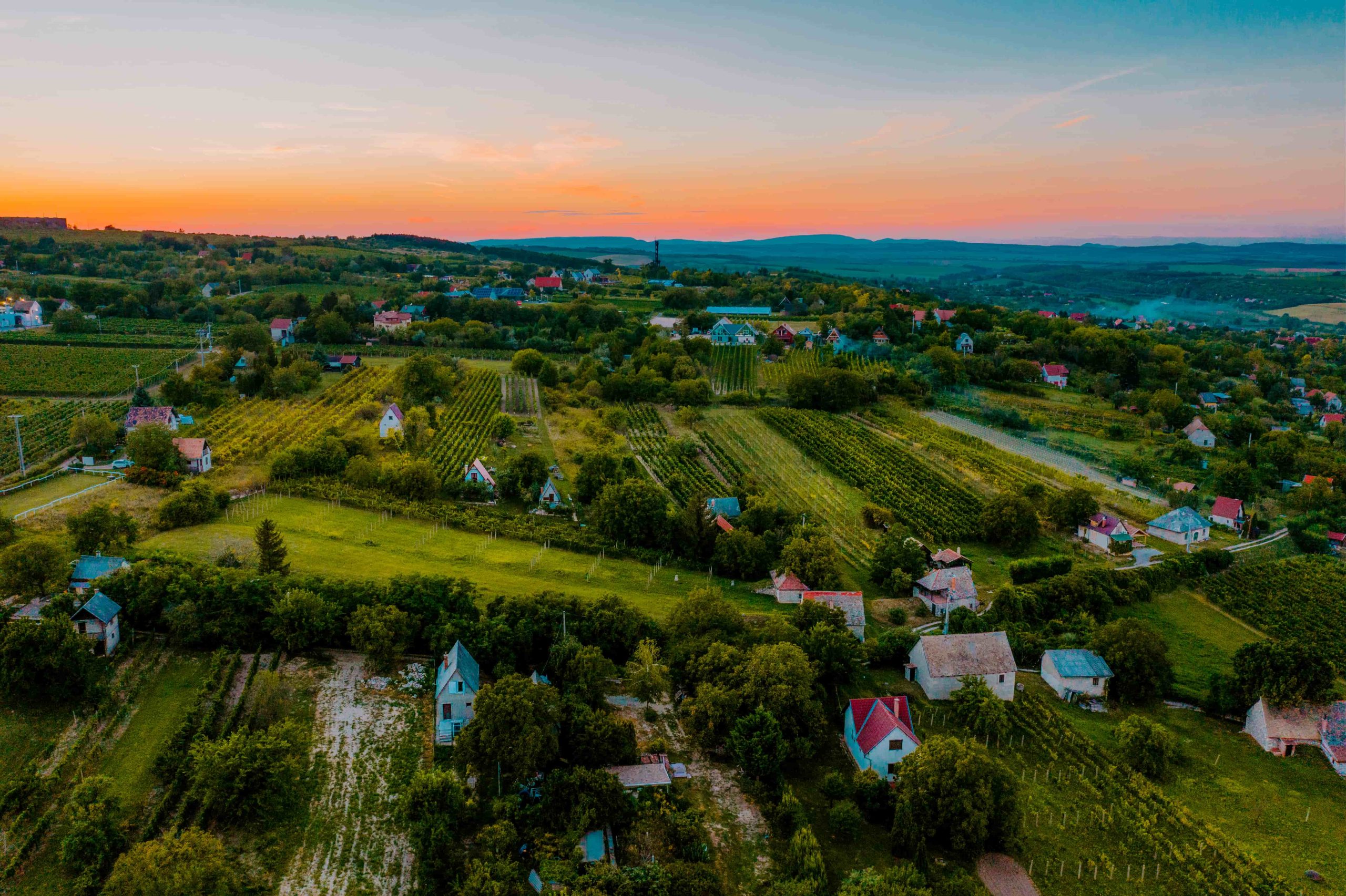 Etyek-Budai borvidékről hero