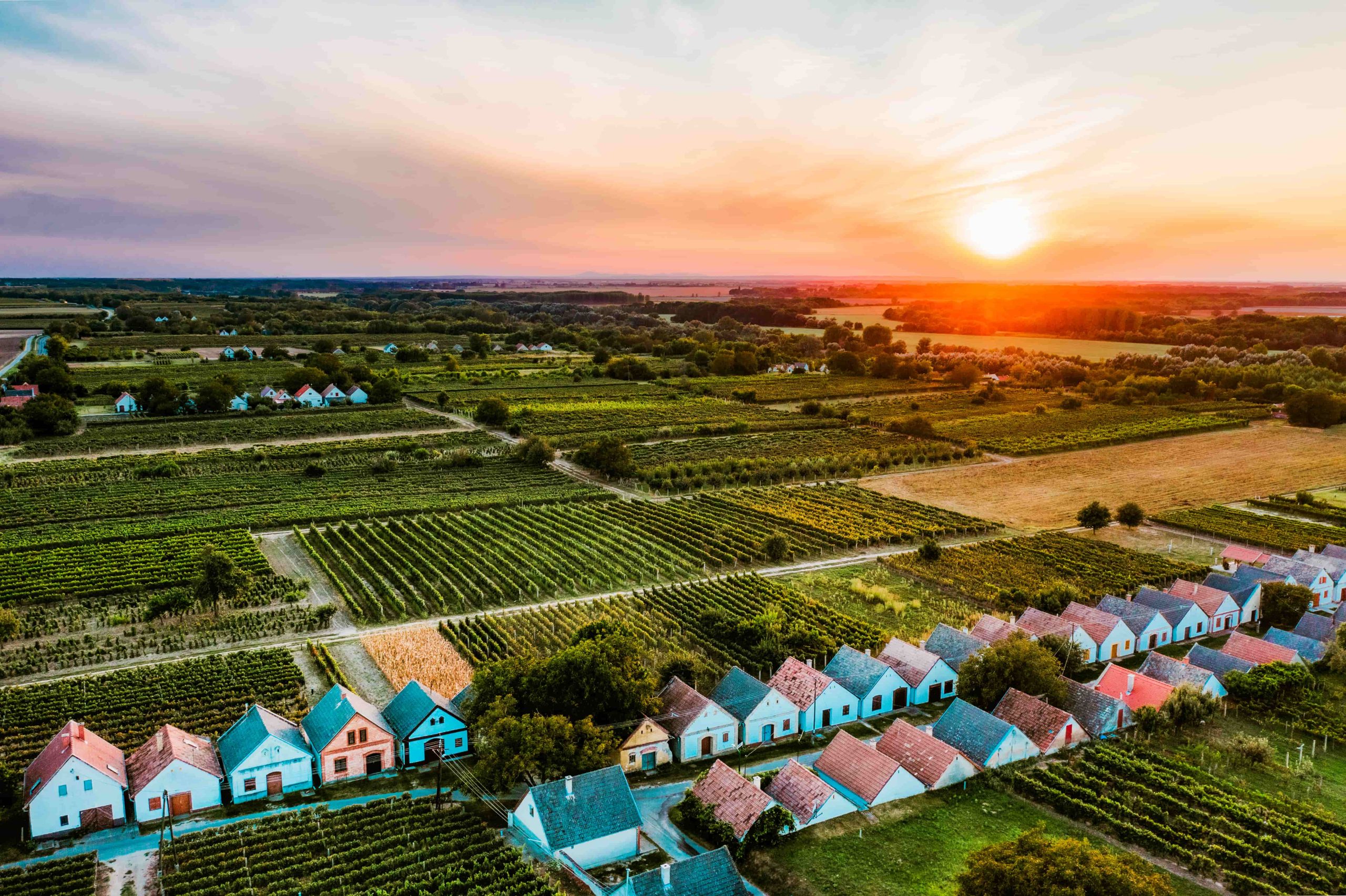 Hajós-bajai borvidékről hero