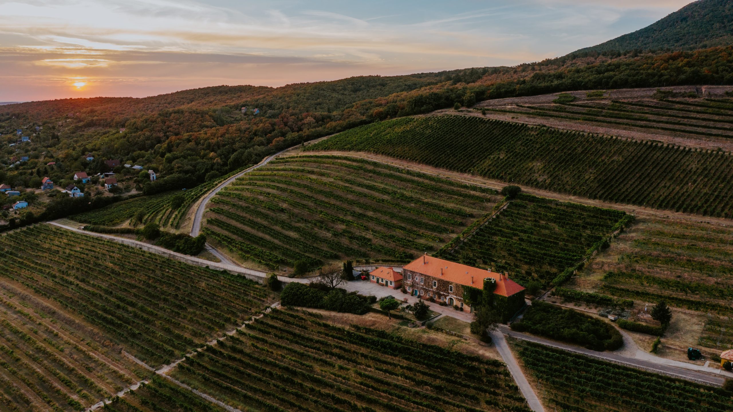 Pécsi borvidék termelőhelyek és eredetvédelem